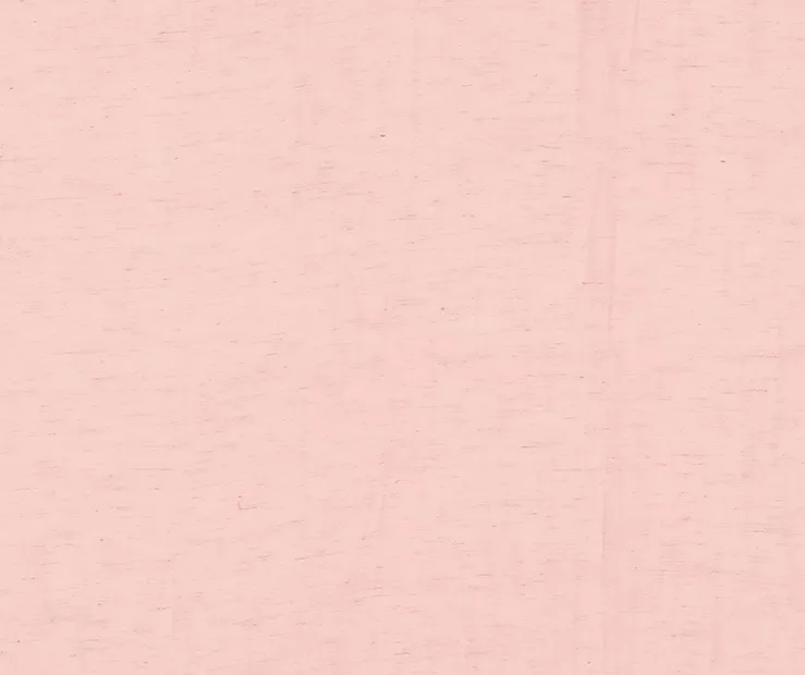 Priya Pink Semi-Sheer Tab Top Curtain Panel, (95") 3 Priya Pink Semi-Sheer Tab Top Curtain Panel, (95") - Image 3