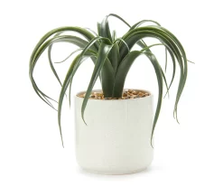 Green Aloe In Off-White Speckled Pot