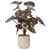Red Artificial Begonia Plant In Beige Speckled Pot
