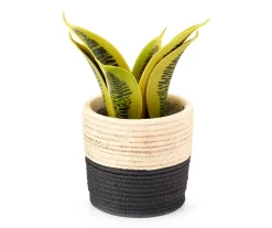 Artificial Succulent In Black & White Braid Resin Pot