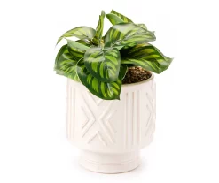 Wild Sedona Green Artificial Plant With White Geometric Pot