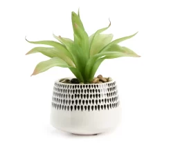 Artificial Succulent In Black Teardrop Pattern Ceramic Planter