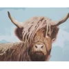 Highland Cow & Blue Sky Art Canvas, (26" X 36")